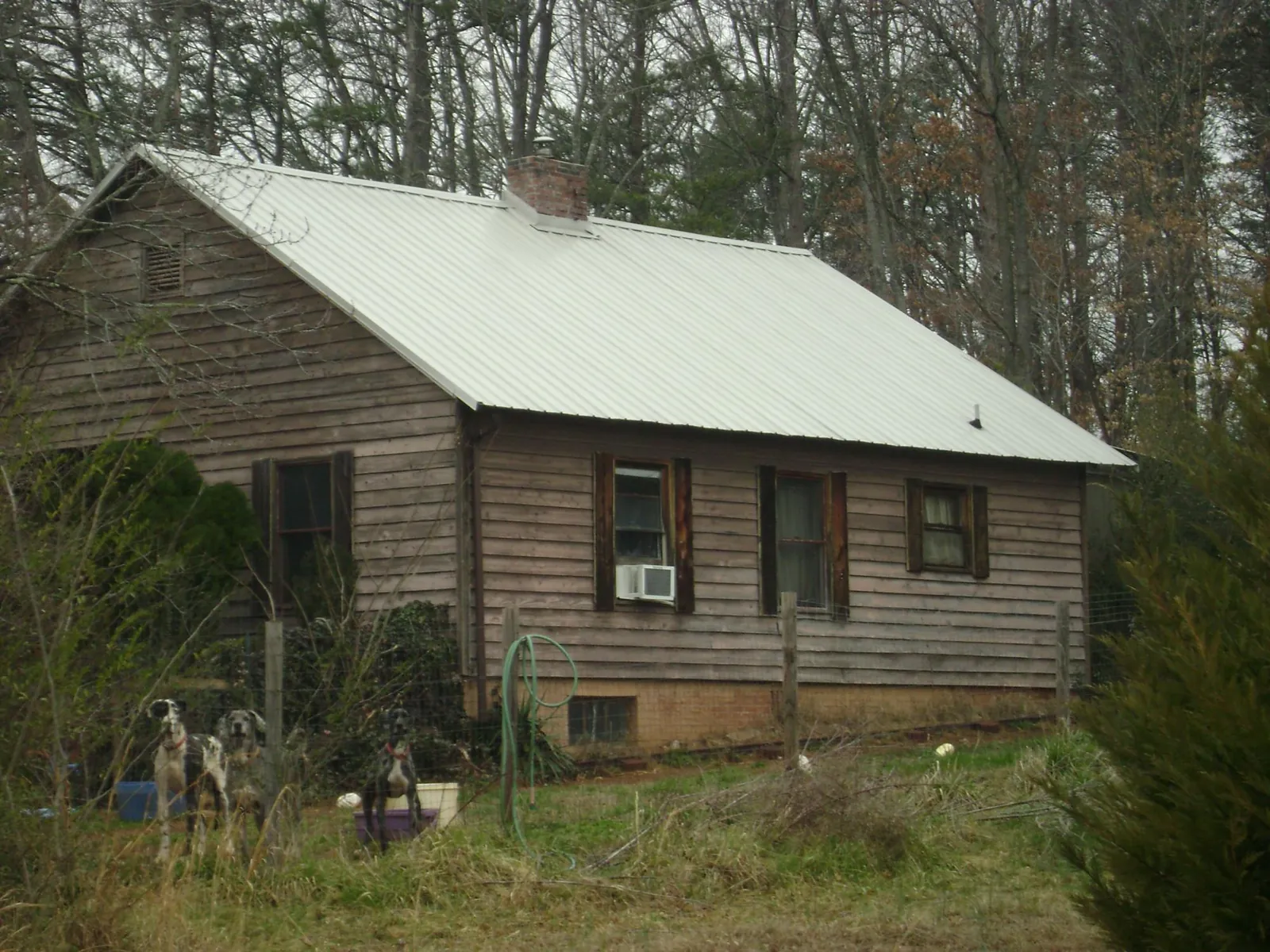 White metal roof on an old wood sided farmhouse, from a Asphalt Shingle Roof Repair job in Helmville